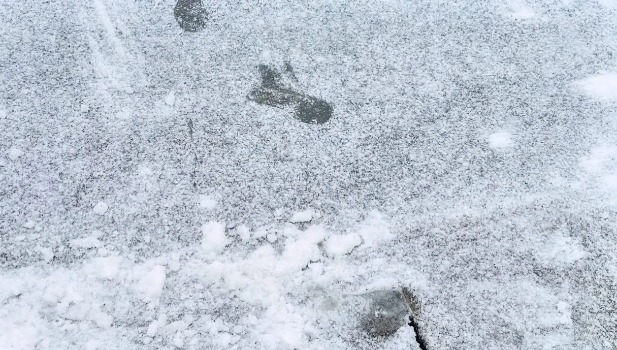 今日も積雪。